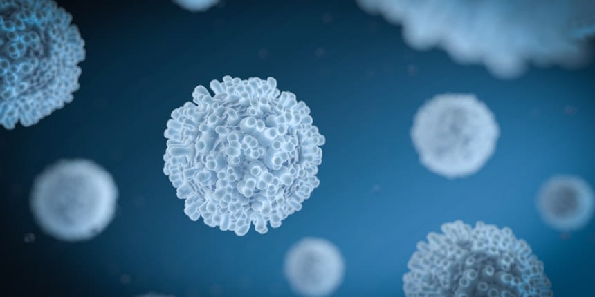Qu'est-ce-qu'un lymphome du cerveau ? Lymphome Primitif du Système Nerveux Central